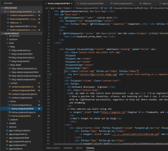 A snapshot of this websites source code.